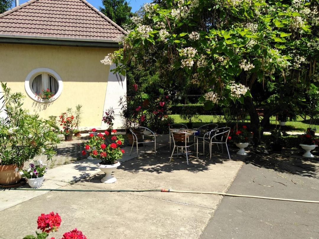 Bed and Breakfast Harang Panzio Gyomaendrőd Exteriér fotografie